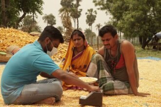 India’s Arya.ag Thrives Amidst Declining Global Crop Prices: A Magnet for Investors