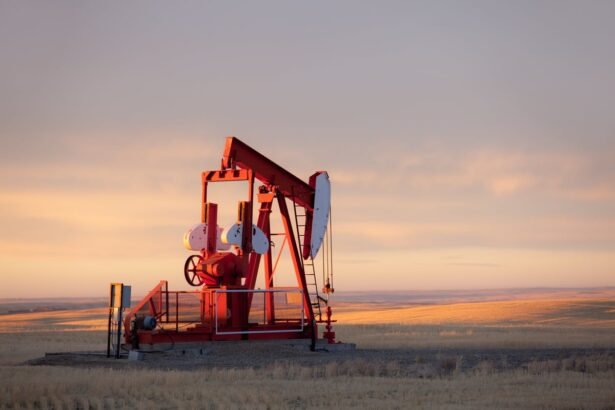 Sturdy Dividends: Why This Oil Stock’s Payout Is Resilient in a Slumping Energy Market
