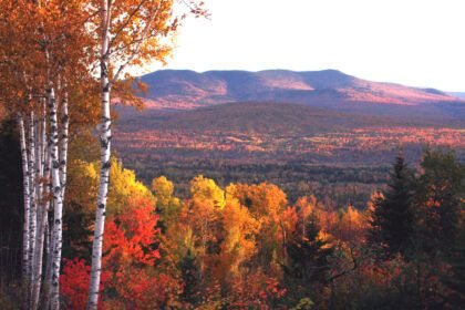 Dover, New Hampshire: An Attractive Haven for Retirees Seeking Walkable Tranquility