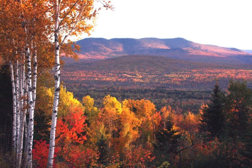 Dover, New Hampshire: An Attractive Haven for Retirees Seeking Walkable Tranquility