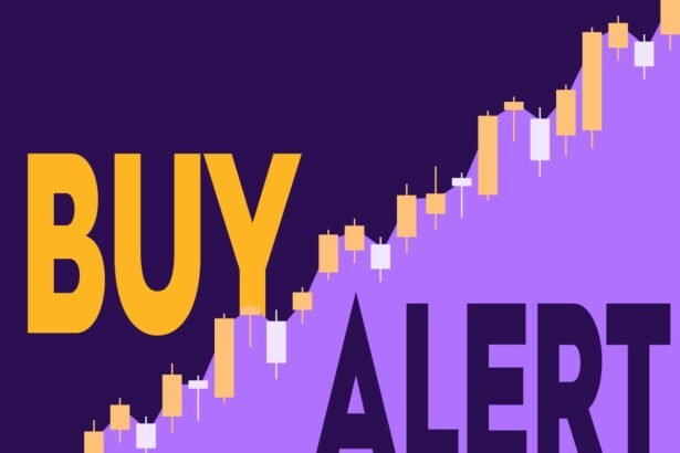 Is This ETF Worth Investing In? Bouvel Increases Stake by  Million