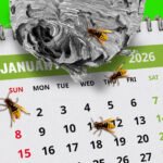 Navigating the Volatile Job Market: How Will Investors Fare in Light of a Disappointing January Jobs Report?