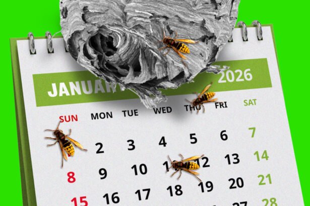 Navigating the Volatile Job Market: How Will Investors Fare in Light of a Disappointing January Jobs Report?