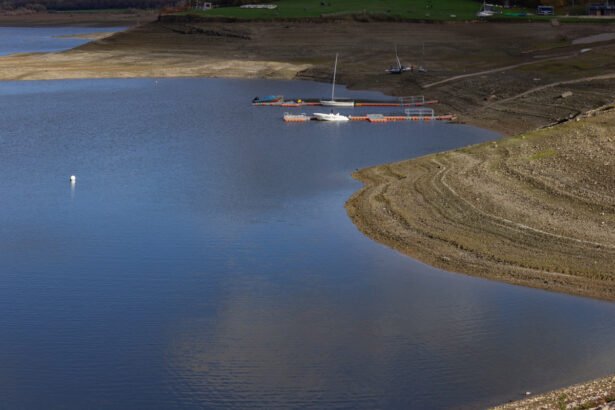 Preserving Freshwater Resources: Strategies for Managing Data Overload