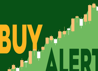 The Resilience of Chime: A  Million Bet on Growth Despite Market Turmoil