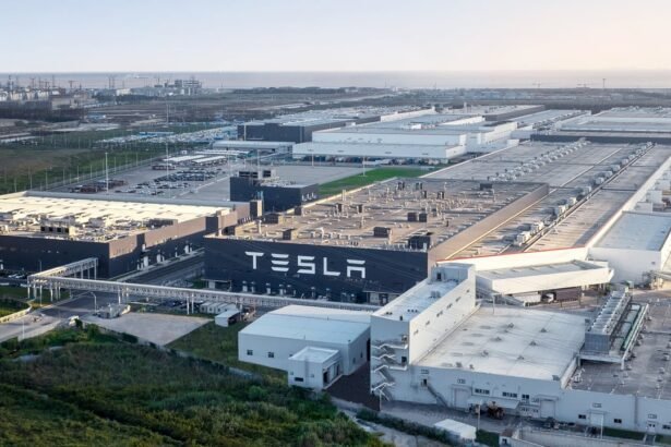 The Rise of AI and Robotaxis: How Elon Musk and Tesla Lead the Charge in Robotics Innovation