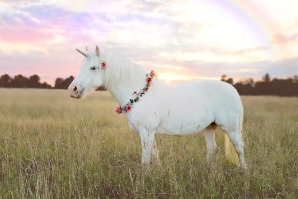 Unveiling the Rising Stars: Europe’s Newest Unicorns of 2026