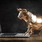 Unveiling the Top Holdings of the Vanguard ETF: Nvidia, Apple, Microsoft, and Alphabet